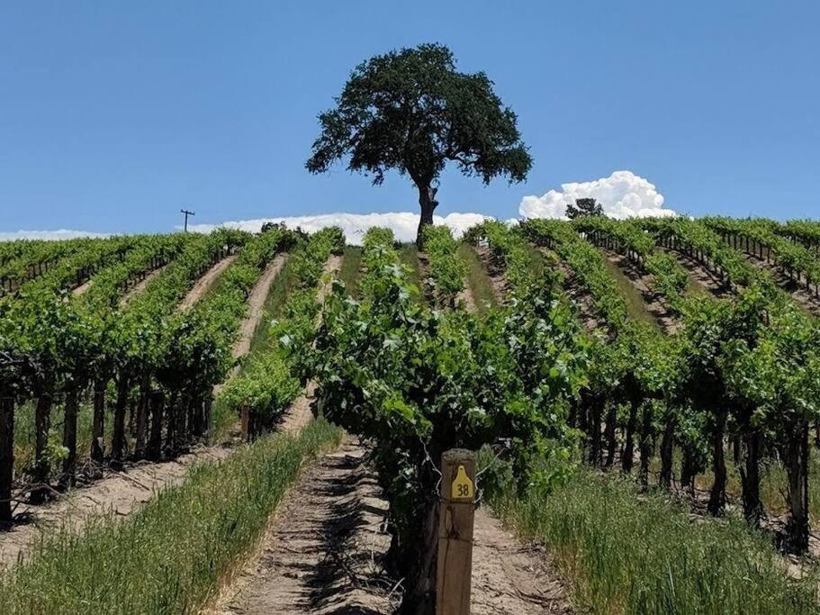 The Vineyard Farmhouse Villa Paso Robles Dış mekan fotoğraf