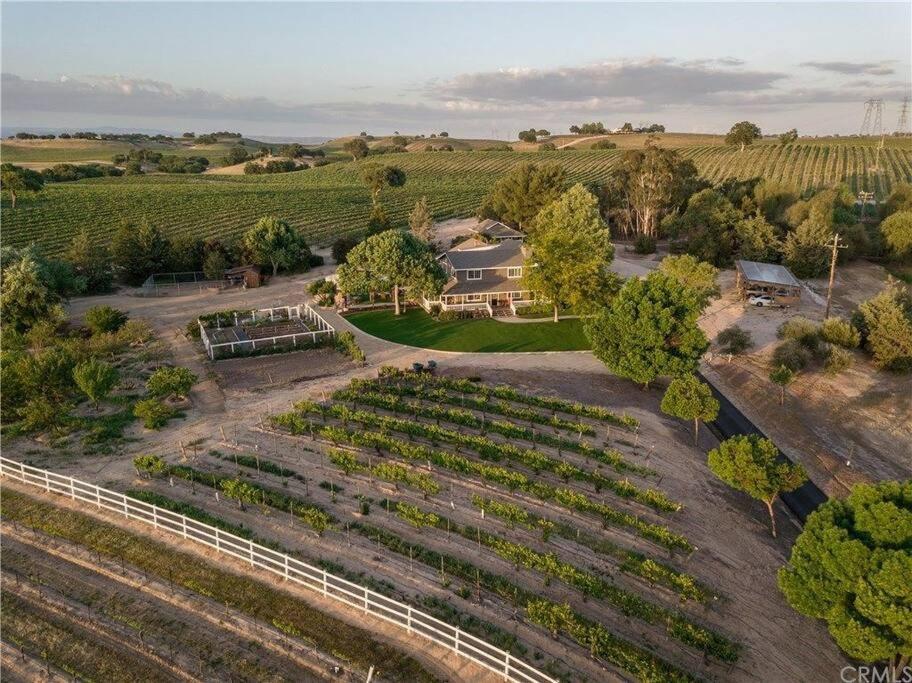 The Vineyard Farmhouse Villa Paso Robles Dış mekan fotoğraf