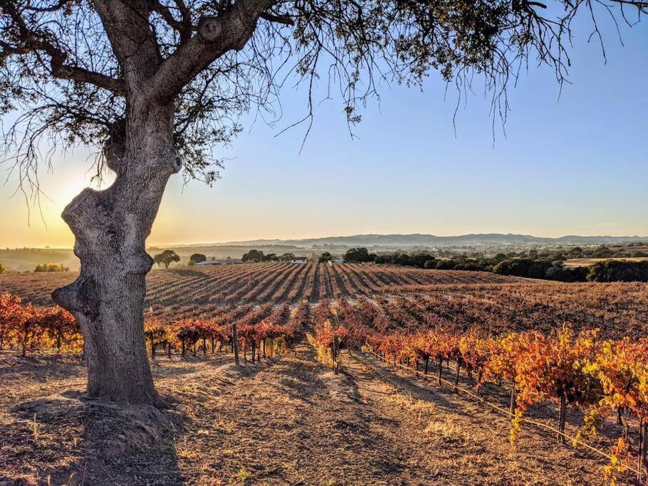 The Vineyard Farmhouse Villa Paso Robles Dış mekan fotoğraf
